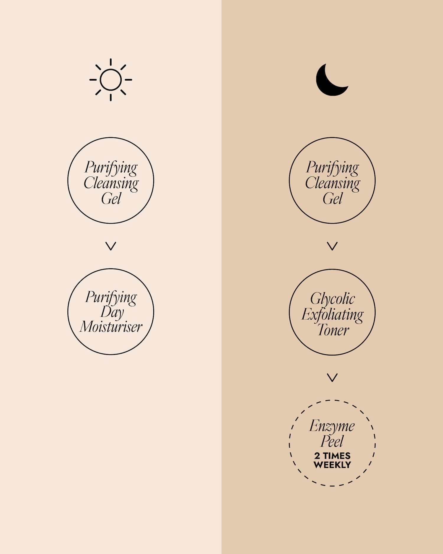 AM and PM skincare routine diagram for oily skin. Morning (sun icon): Purifying Cleansing Gel, then Purifying Day Moisturiser. Night (moon icon): Purifying Cleansing Gel, Glycolic Exfoliating Toner, then Enzyme Peel (use 2 times weekly).