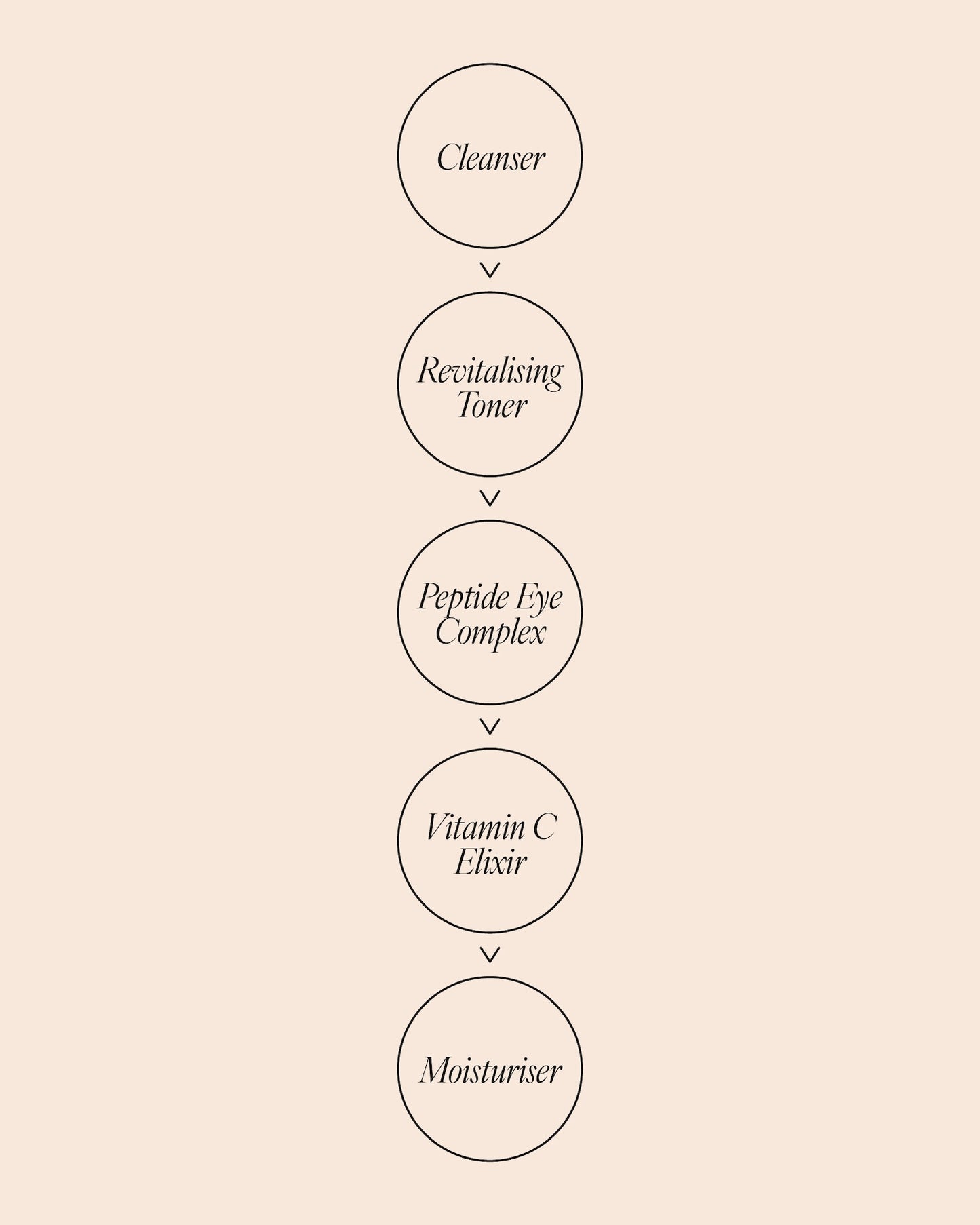 Morning skincare routine diagram showing steps in order: Cleanser, Revitalising Toner, Peptide Eye Complex, Vitamin C Elixir, then Moisturiser.