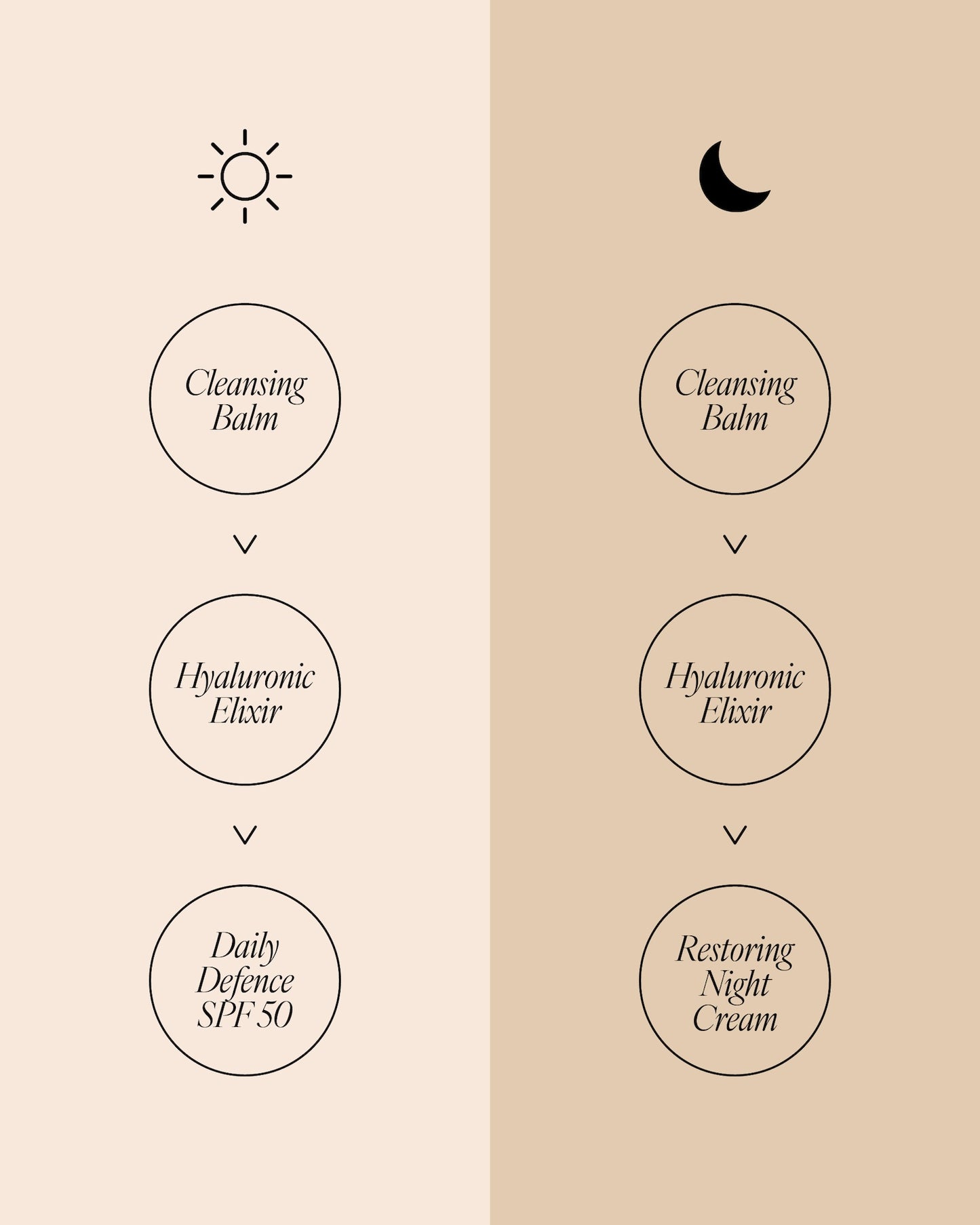 AM and PM skincare routine diagram for menopause skin. Morning (sun icon): Cleansing Balm, Hyaluronic Elixir, Daily Defence SPF 50. Night (moon icon): Cleansing Balm, Hyaluronic Elixir, Restoring Night Cream.