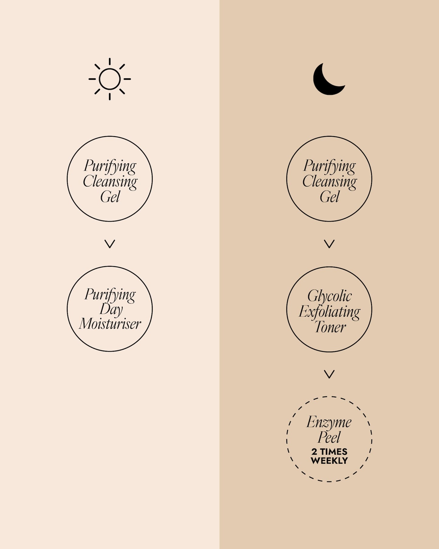 AM and PM skincare routine diagram for oily skin. Morning (sun icon): Purifying Cleansing Gel, then Purifying Day Moisturiser. Night (moon icon): Purifying Cleansing Gel, Glycolic Exfoliating Toner, then Enzyme Peel (use 2 times weekly).