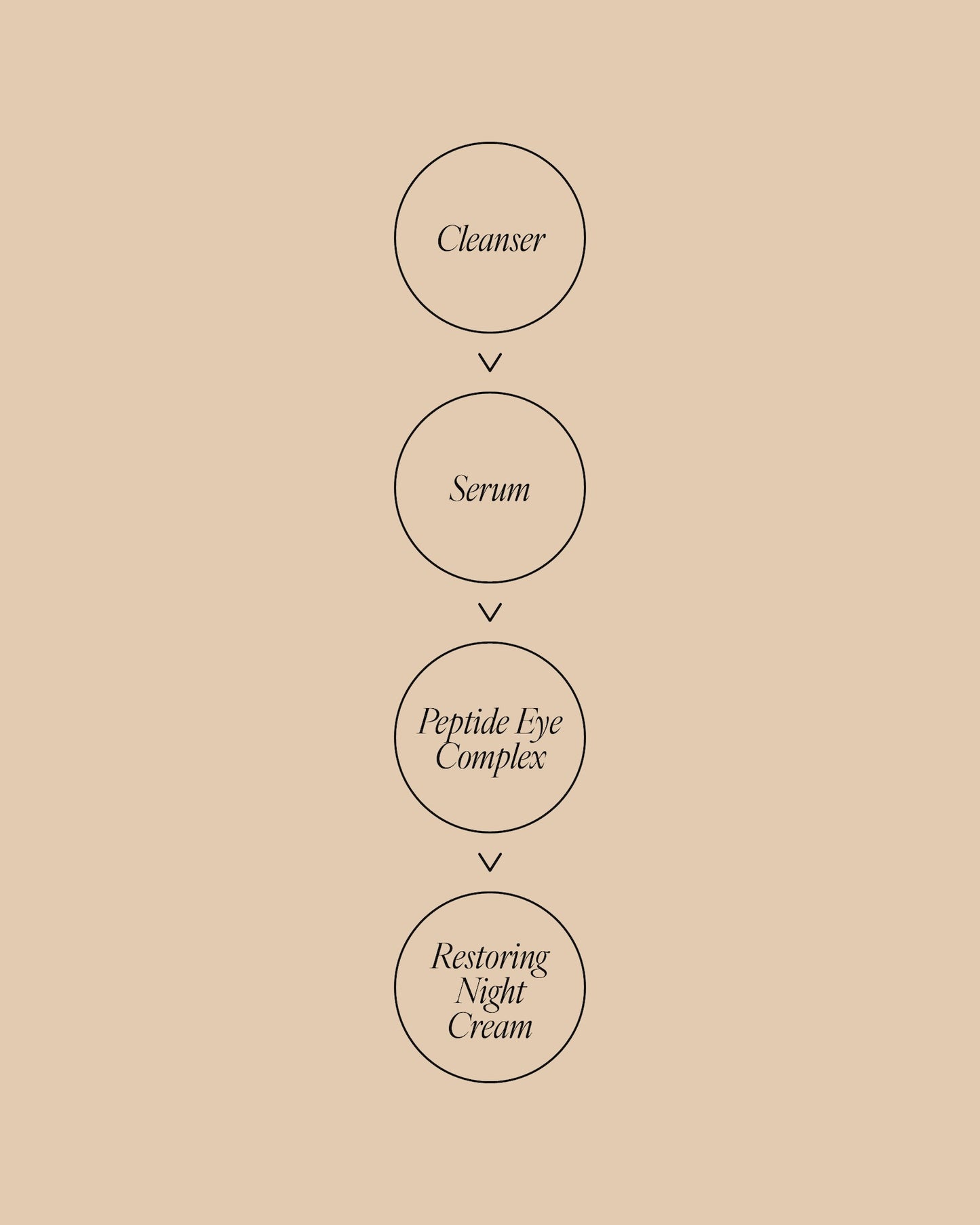 Night skincare routine diagram showing steps in order: Cleanser, Serum, Peptide Eye Complex, then Restoring Night Cream.