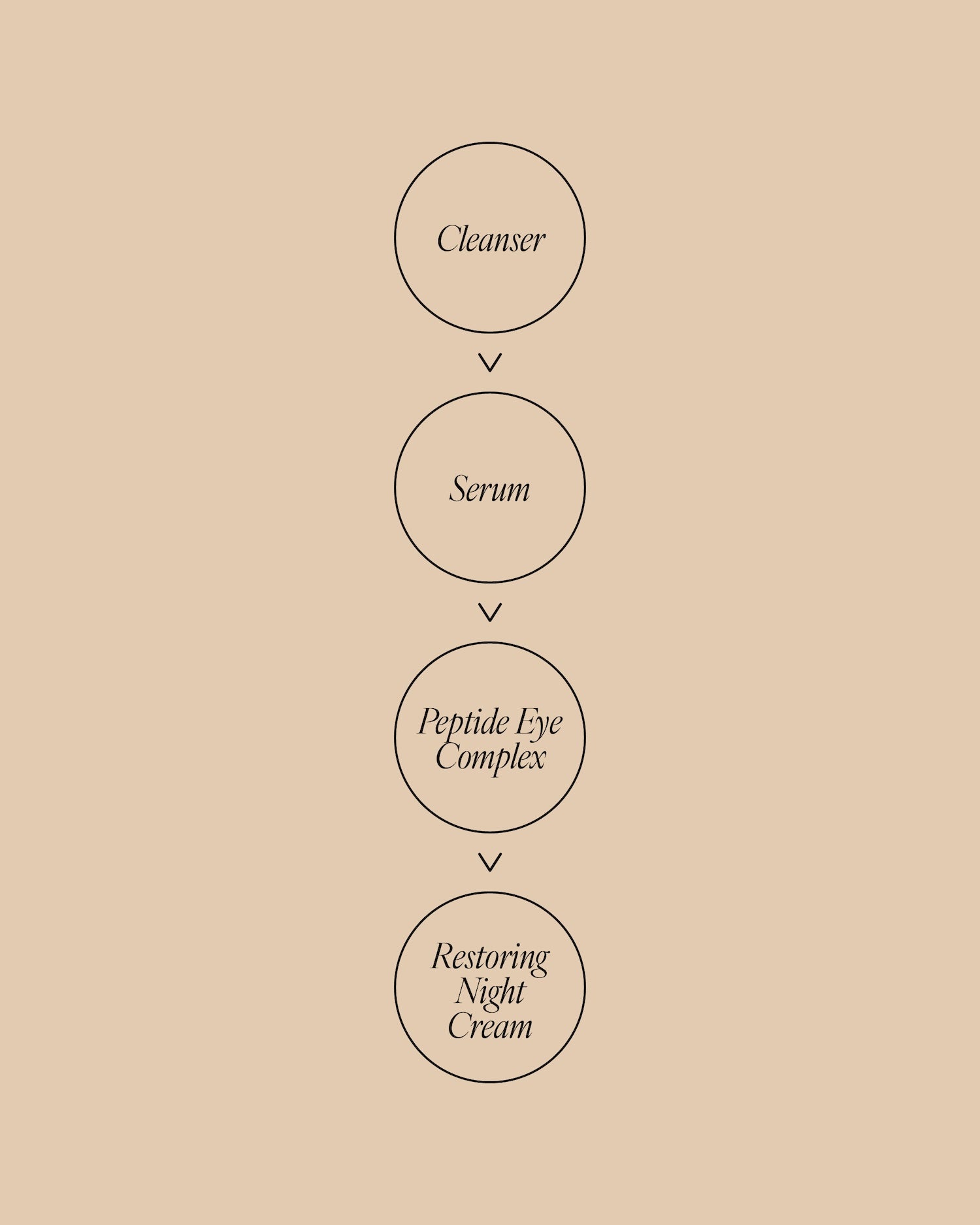 Night skincare routine diagram showing steps in order: Cleanser, Serum, Peptide Eye Complex, then Restoring Night Cream.